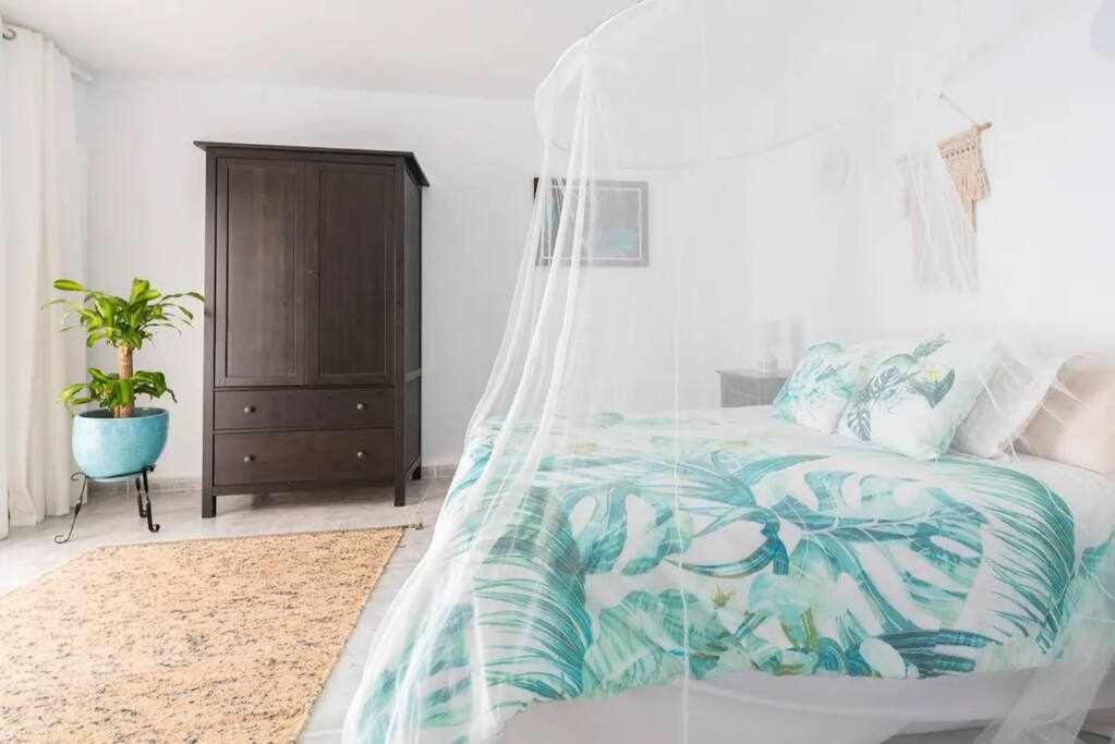 Gedel Ma Zen Resort 포리스 데 아보나 객실 사진